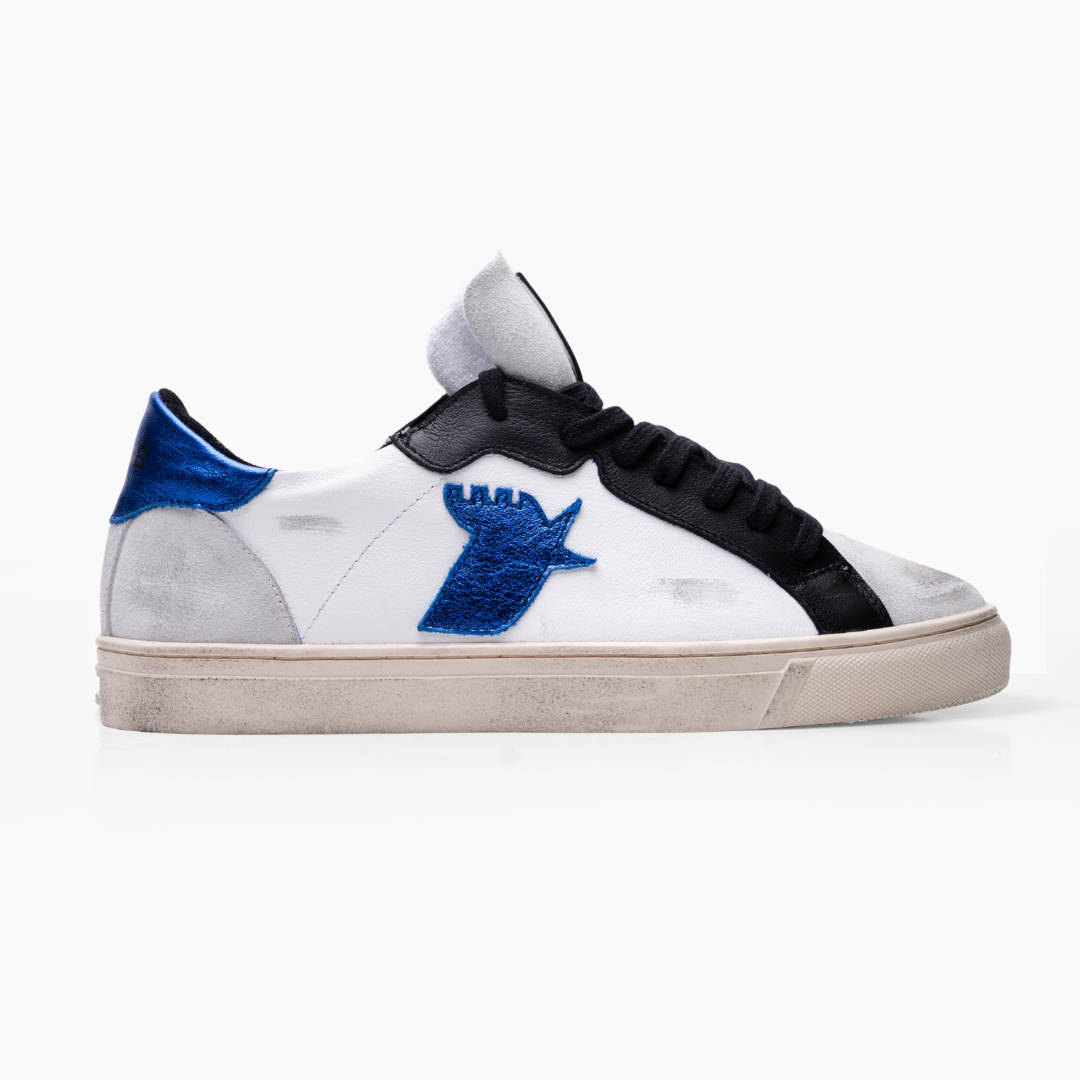 ROOSTER QUERÉTARO FC